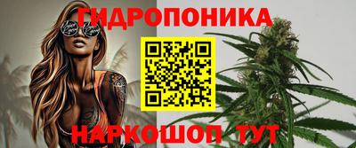 твердый Пугачёв