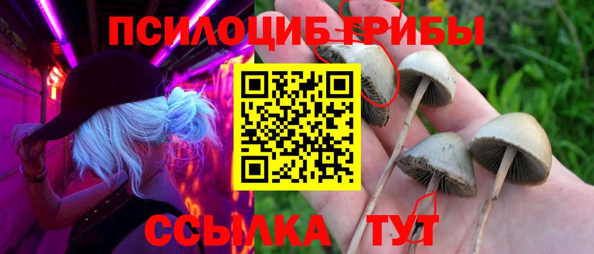Псилоцибиновые грибы мухоморы Рассказово